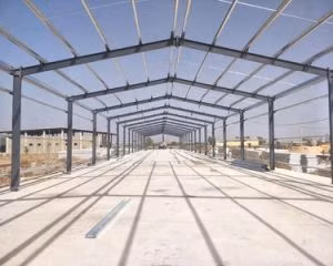 Pollaio da stalla in metallo prefabbricato a prodotto caldo, stalla per mucche personalizzabile, allevamento di maiali, struttura in acciaio, agricoltura