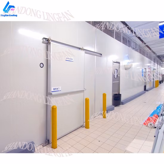 Installazione gratuita di apparecchiature di refrigerazione per contenitori refrigerati da 20